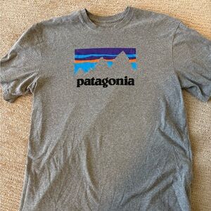 Patagonia Gray Logo Mountain T-Shirt with Blue & Purple Graphic vintage era